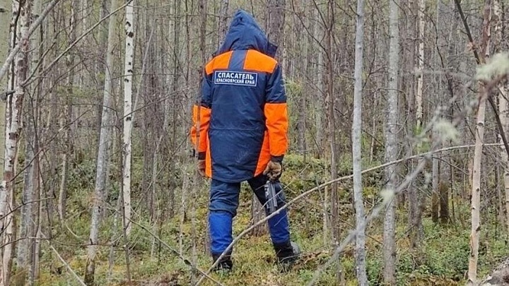 Эксперт назвал необычным тот факт, что в лесу не нашли следов пропавших Усольцевых